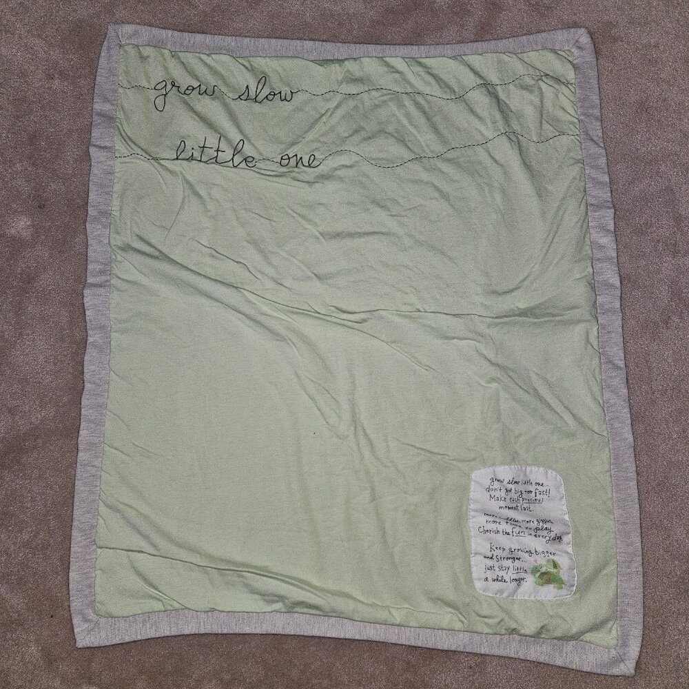 Demdaco Lori Siebert Baby Blanket Grow Slow Little One Turtle Green Gray 30x34